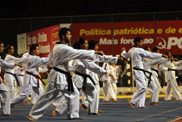 Gala de Artes Marciais
