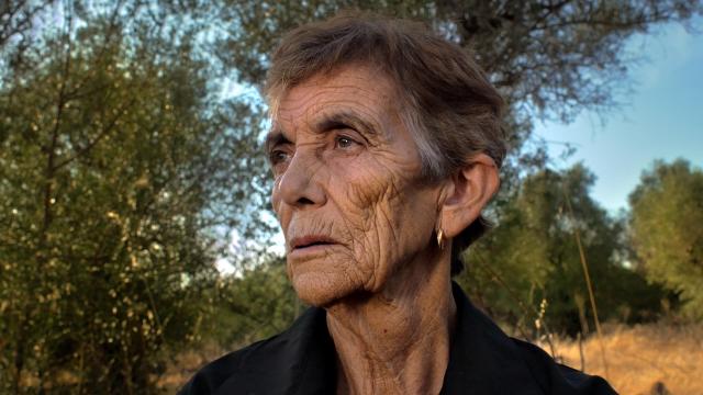Farpões Baldios